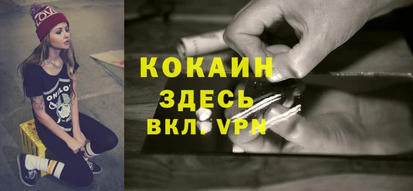прущая мука Пересвет