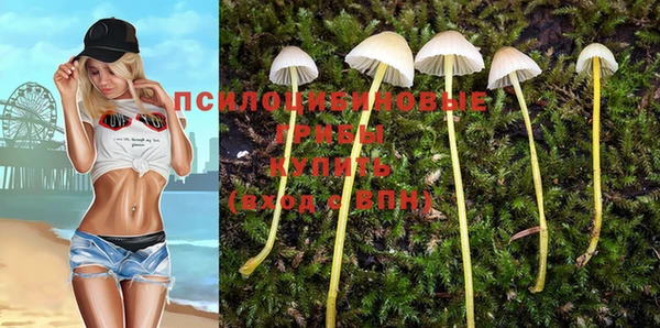 прущие крисы Абинск