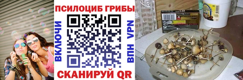 Галлюциногенные грибы мицелий  Правдинск 